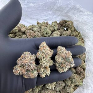 Lemon Wafers Gelato 1Lb.jpg