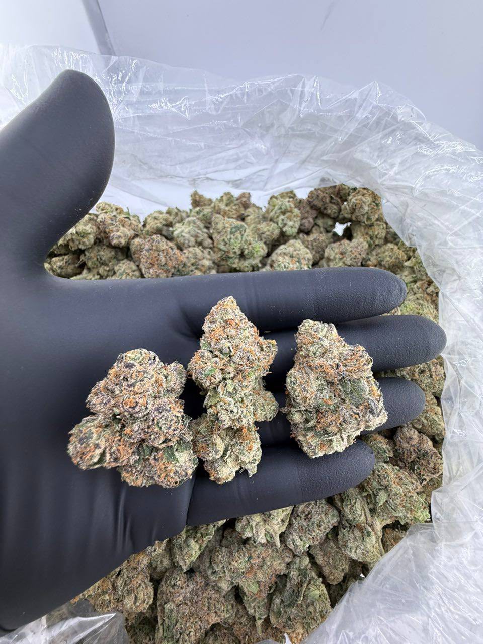 Lemon Wafers Gelato 1Lb.jpg