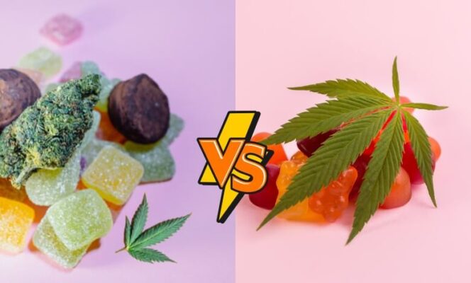 The Difference Between THC Gummies and CBD Gummies.jpg