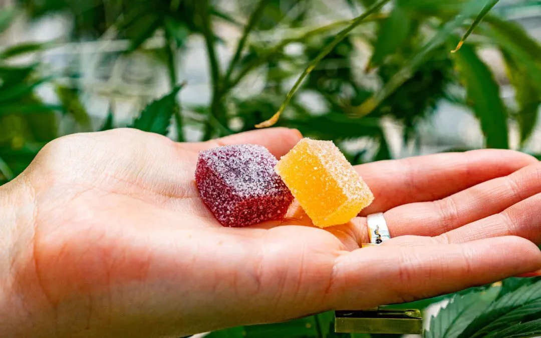 Weed Gummies.jpg